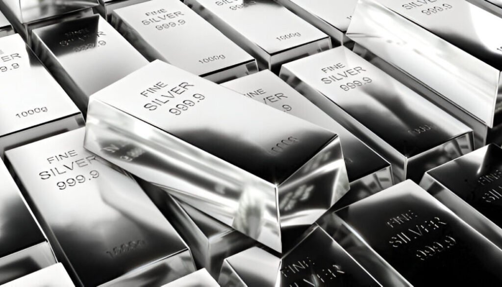 Silver in a self Directed IRA
