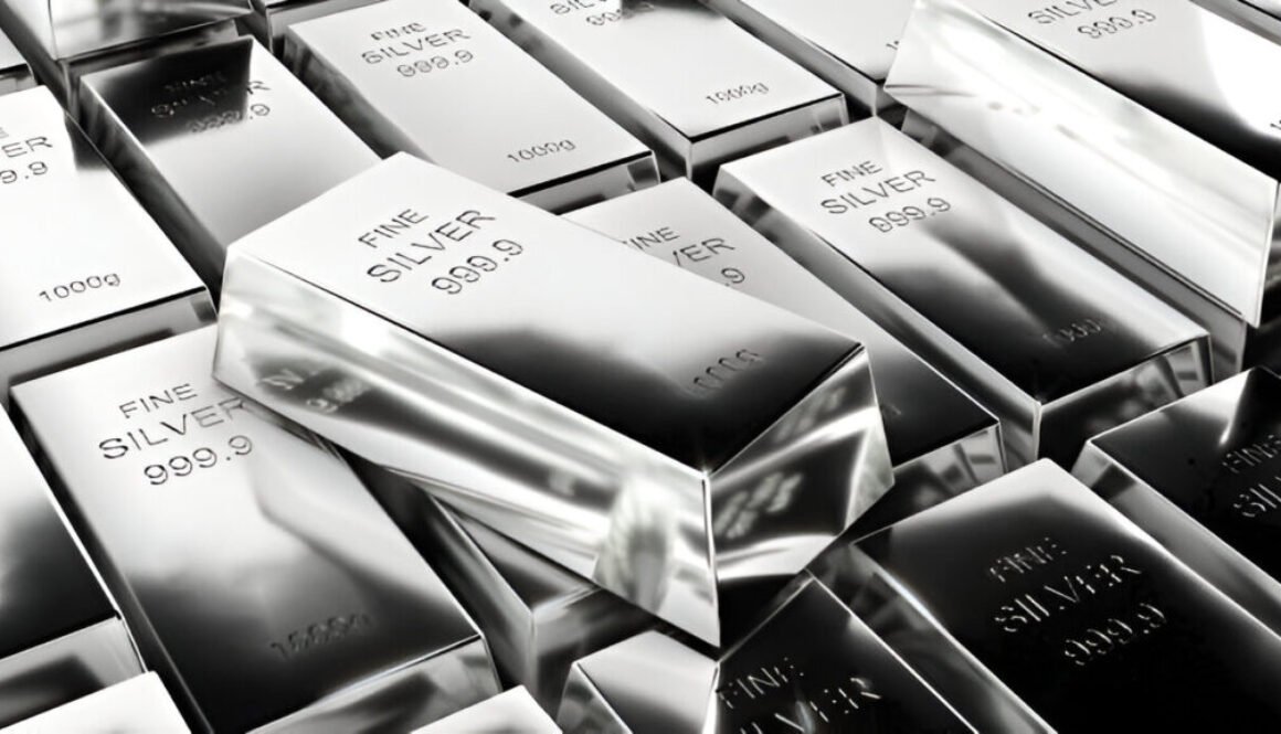 Silver in a self Directed IRA
