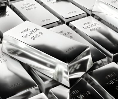 Silver in a self Directed IRA